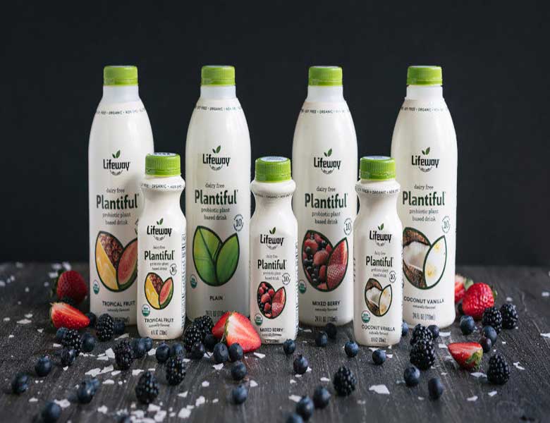 شرکت Lifeway Foods نوشیدنی پروبیوتیک جدیدی بر پایه ترکیبات گیاهی عرضه کرد