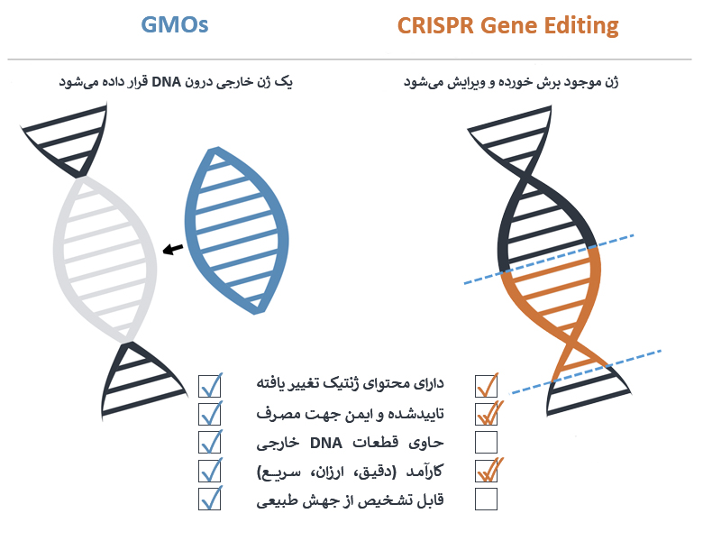 تفاوت محصولات تراریخته و اصلاح شده به روش CRISPR