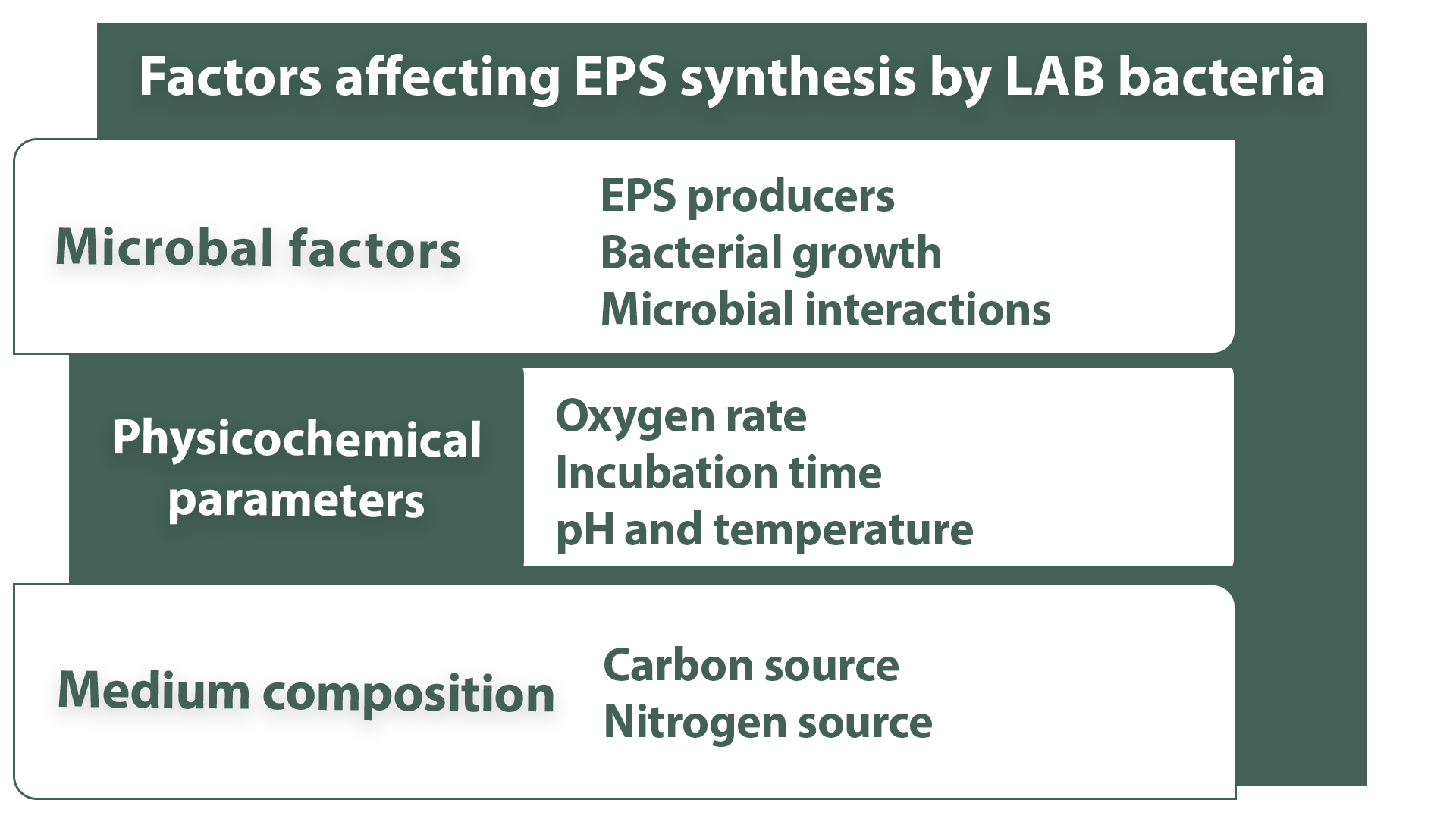 Factors affecting EPS production by LAB strains