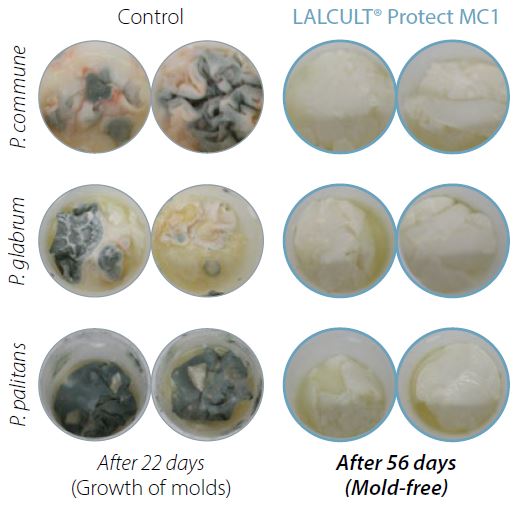 A new solution to control mold and yeast growth in dairy products