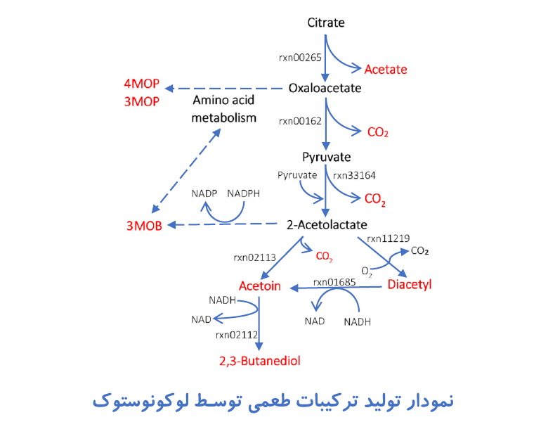 نمودار پروسه تولید ترکیبات طعمی توسط لوکونوستوک