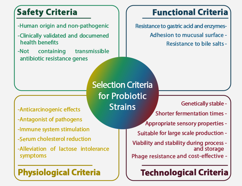 Probiotic bacteria and selection criteria