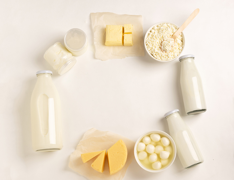 Fermented Dairy Products